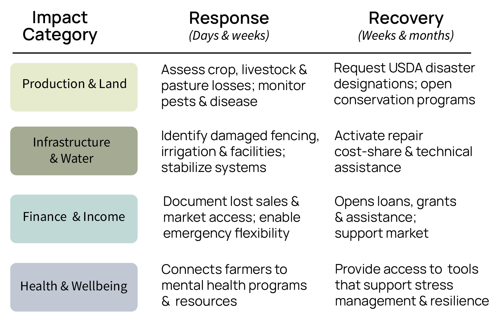 Government response and recovery matrix showing actions across four impact categories during response and recovery phases.